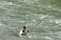 DSC00025.jpg